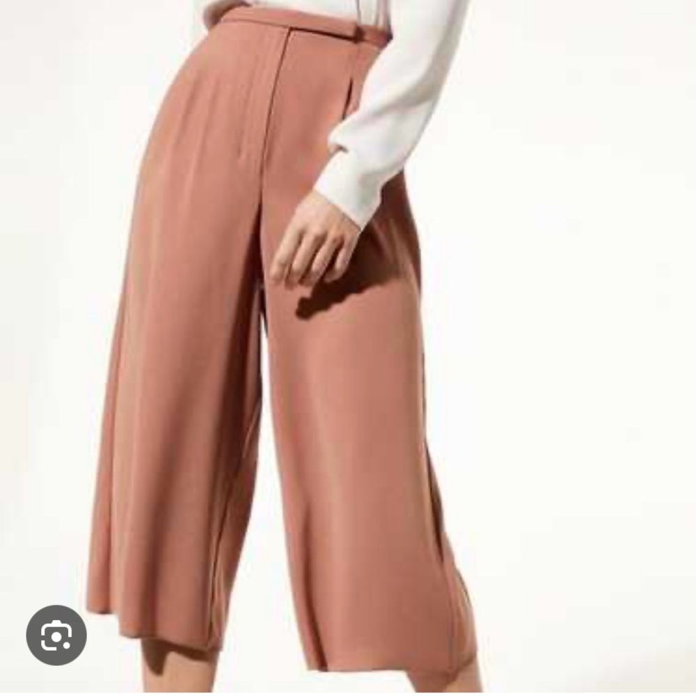 Babaton Wide Leg Pants in Soft Brown